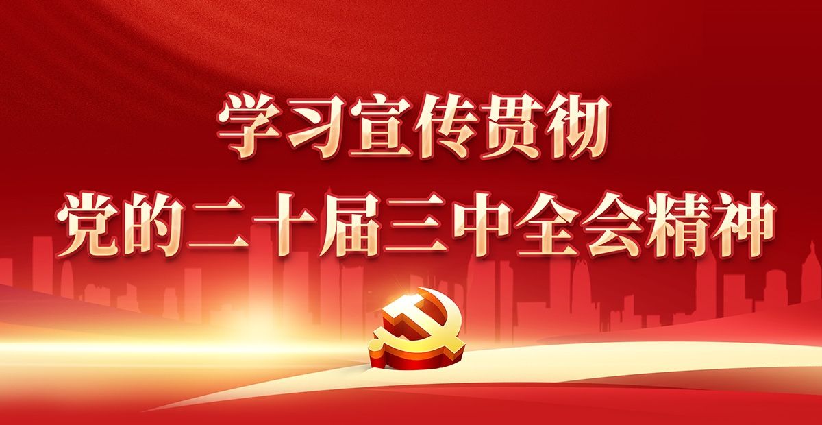 学习宣传贯彻党的二十届三中全会精神